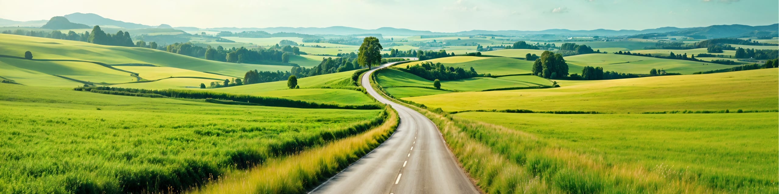 先まで道が続く田舎の風景